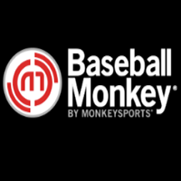 Baseball Monkey