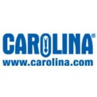 Carolina Candle