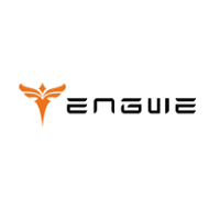 Engwe EU