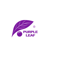 Four Leaf Rover