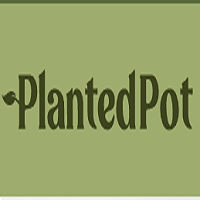 Planted Pot