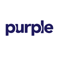 Purple Turtle Toys AU
