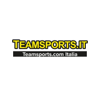 Teamsports IT