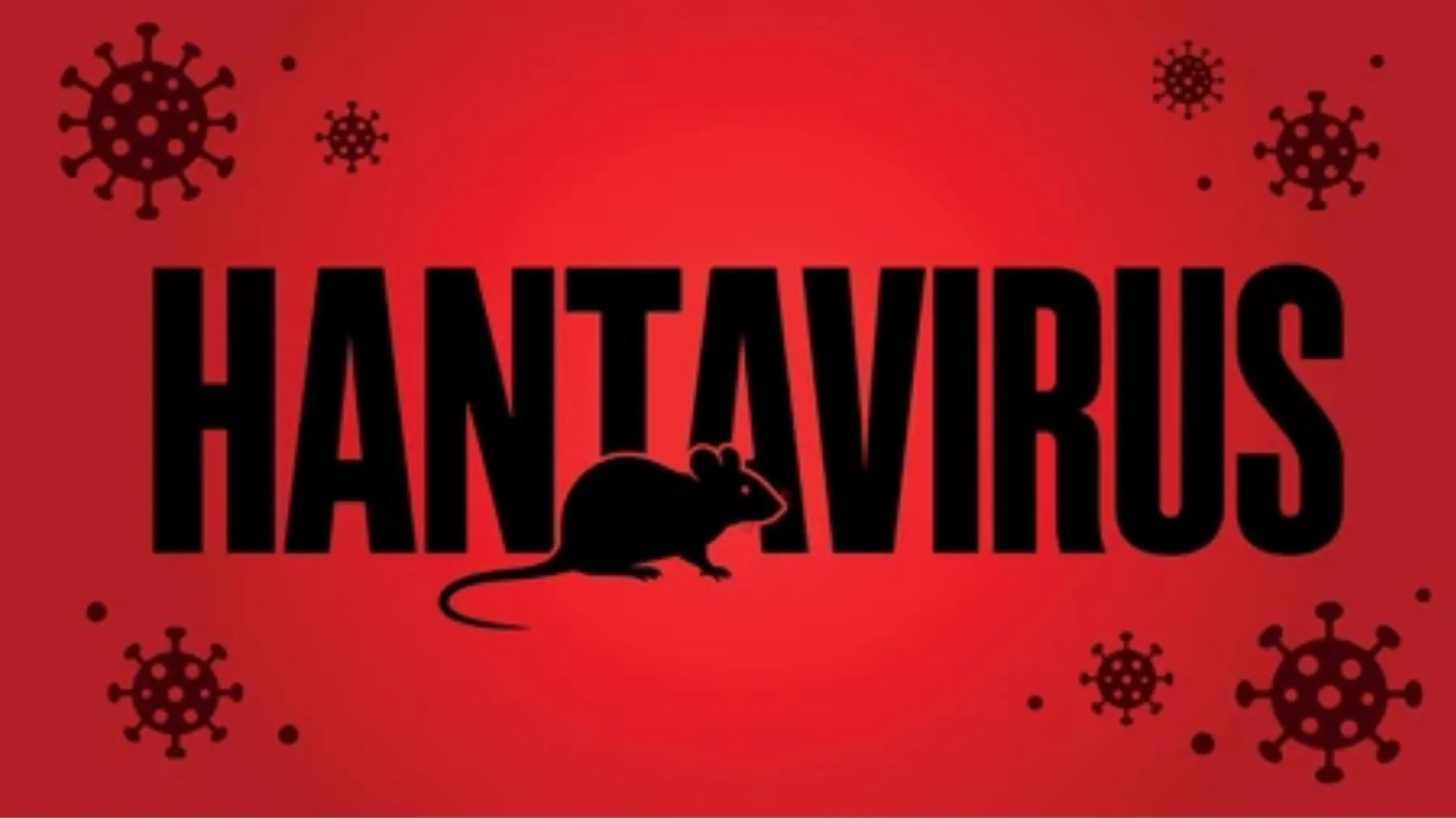 Hantavirus: Symptoms, Causes, Prevention, and What Americans Need to Know