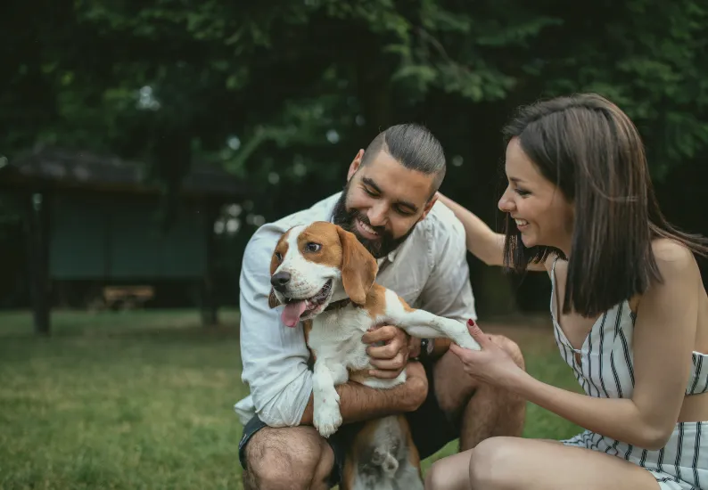 bet pet supplies