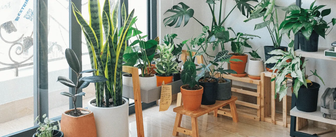 Getpotted