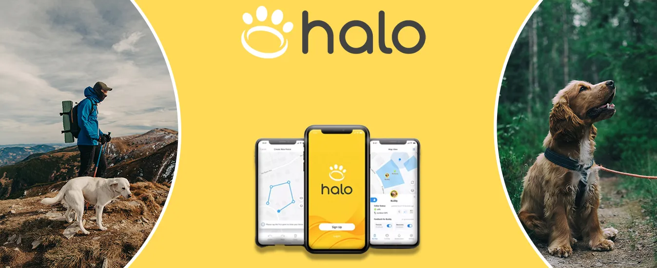 halo collar